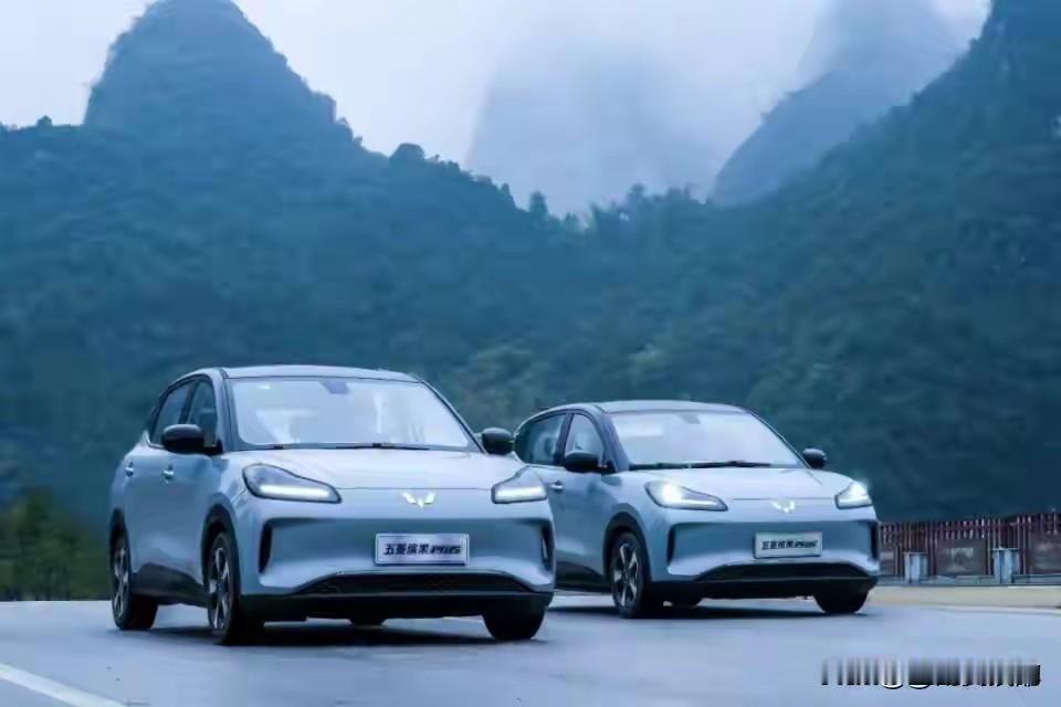 全球新能源销量前五位排名（2025年11月）：
01   比亚迪    31.2