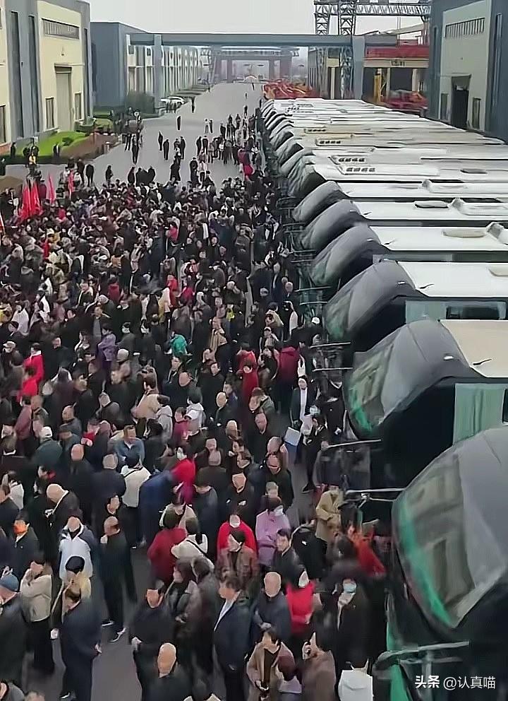 全网彻底羡慕疯了！
河南矿山老板崔培军，
用一场千万级孝亲游，把人情味做到了极致