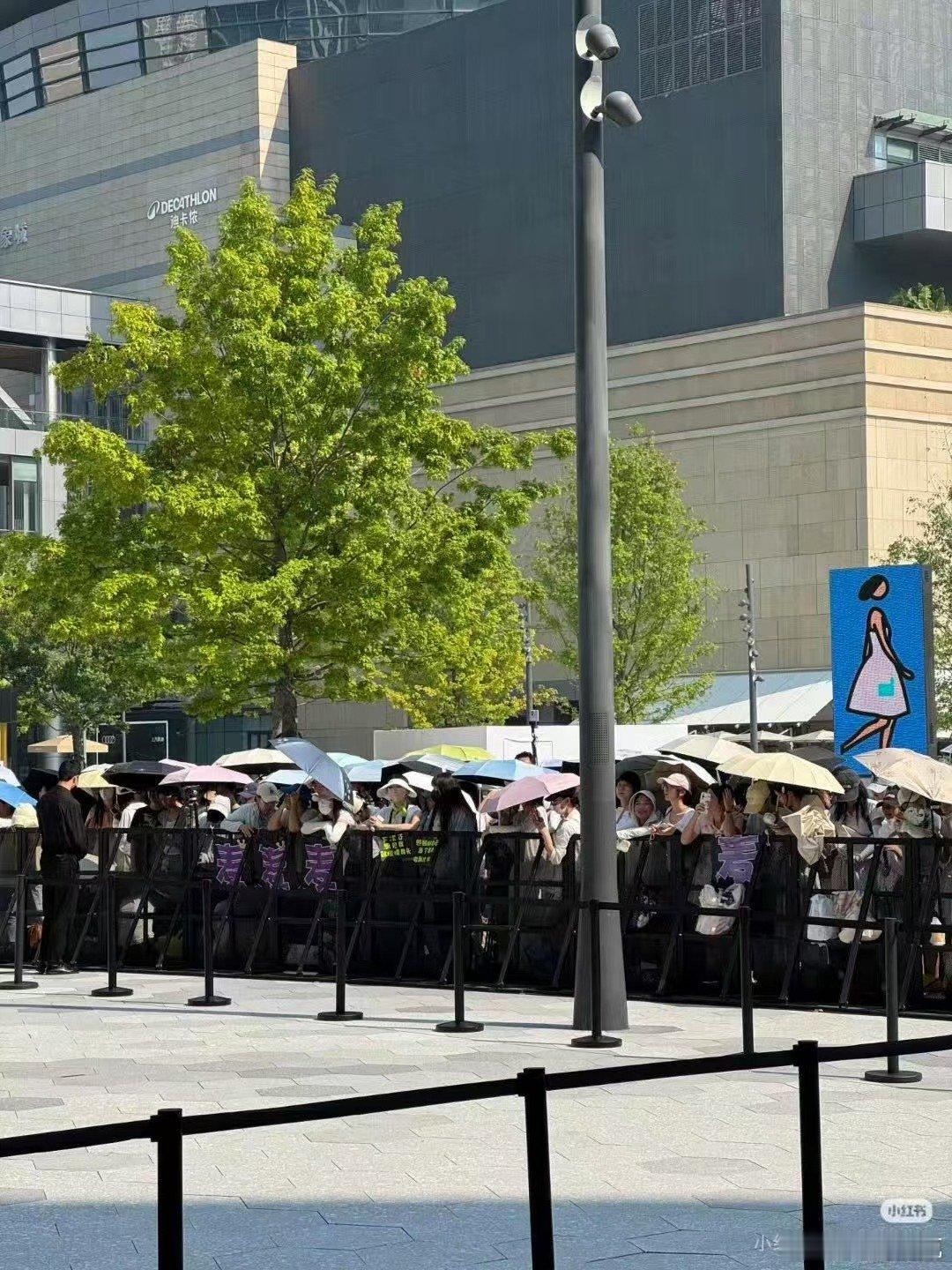 赵今麦成都活动人气赵今麦成都人气 赵今麦成都线下活动人气 