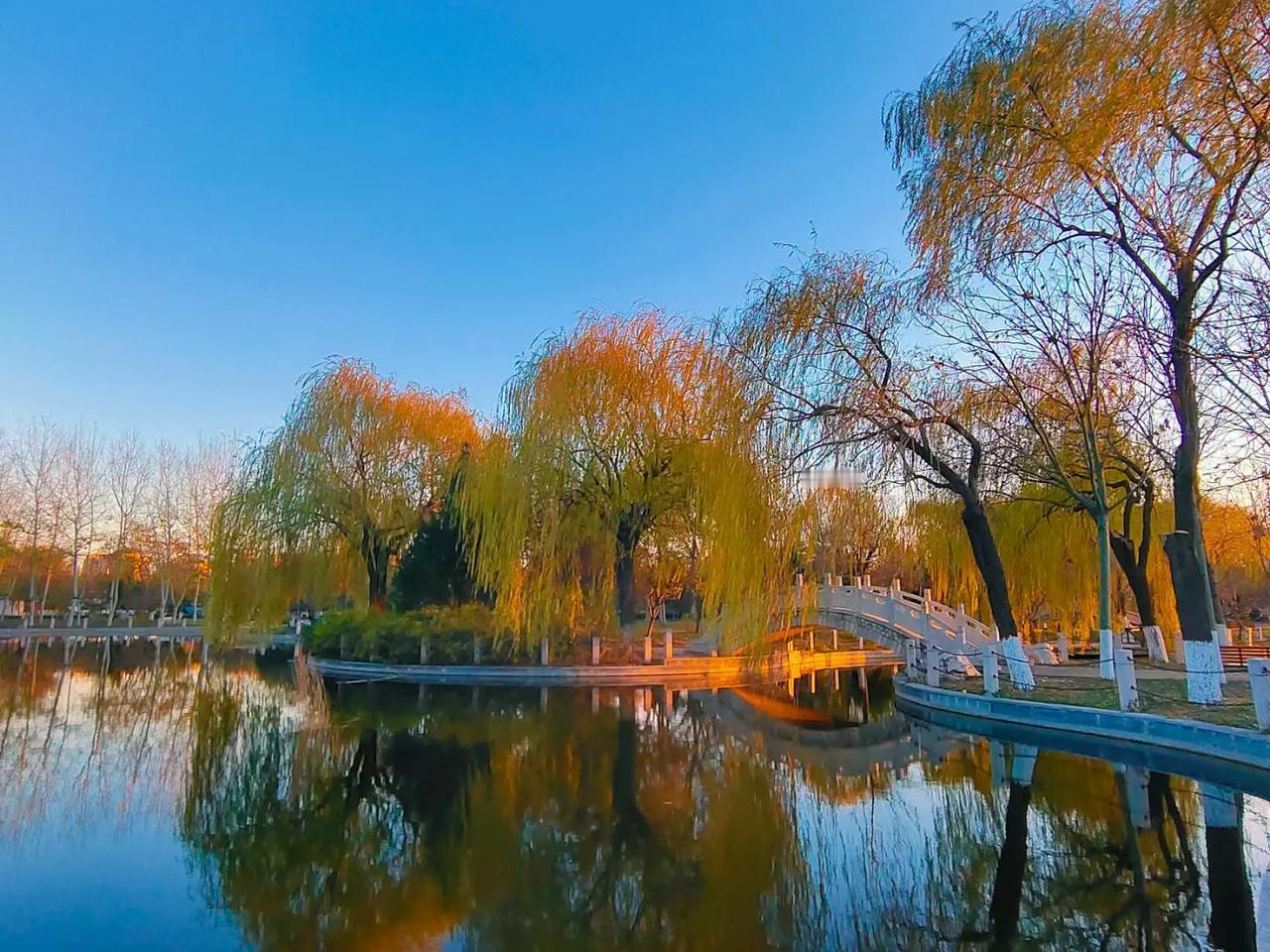 步行下班，路过公园，随手拍了一组照片。

水天一色映霞光

金黄倒影湖中央

小