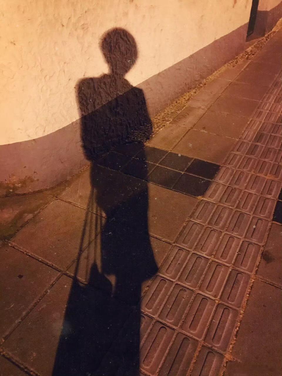 大风吹来了，我们随风飘荡，在风尘中遗忘的清白脸庞。此生多寒凉，此身越重洋，轻描时