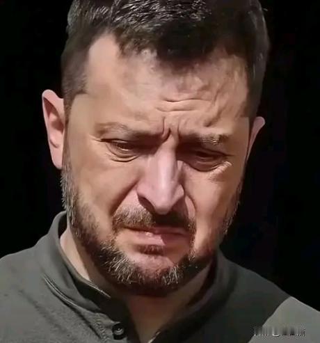 同床异梦，貌合神离！
 
乌克兰正式宣布了！
12月8日，乌克兰总统泽连斯基与英