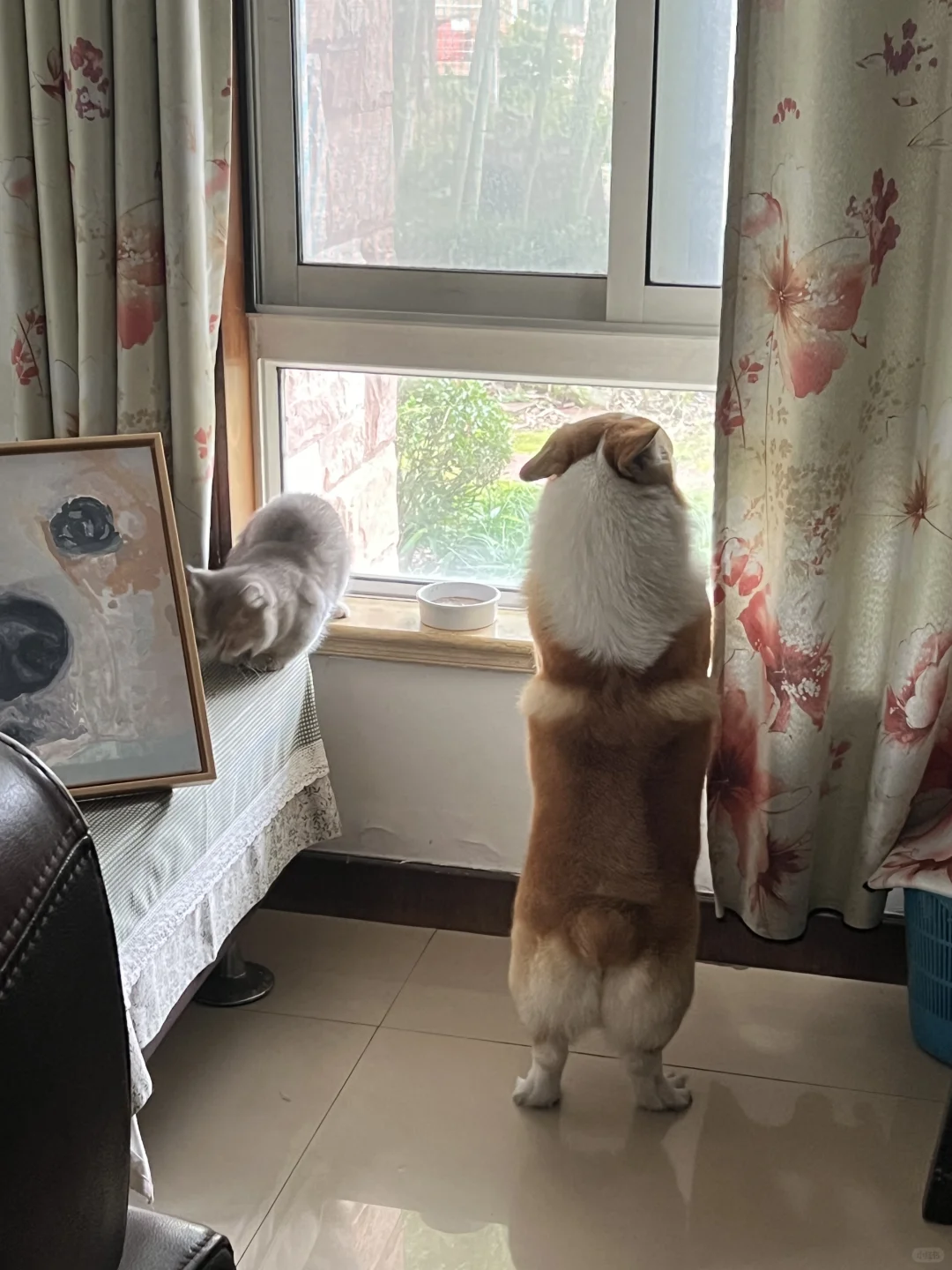 谁说这腿短啊 这腿太长了