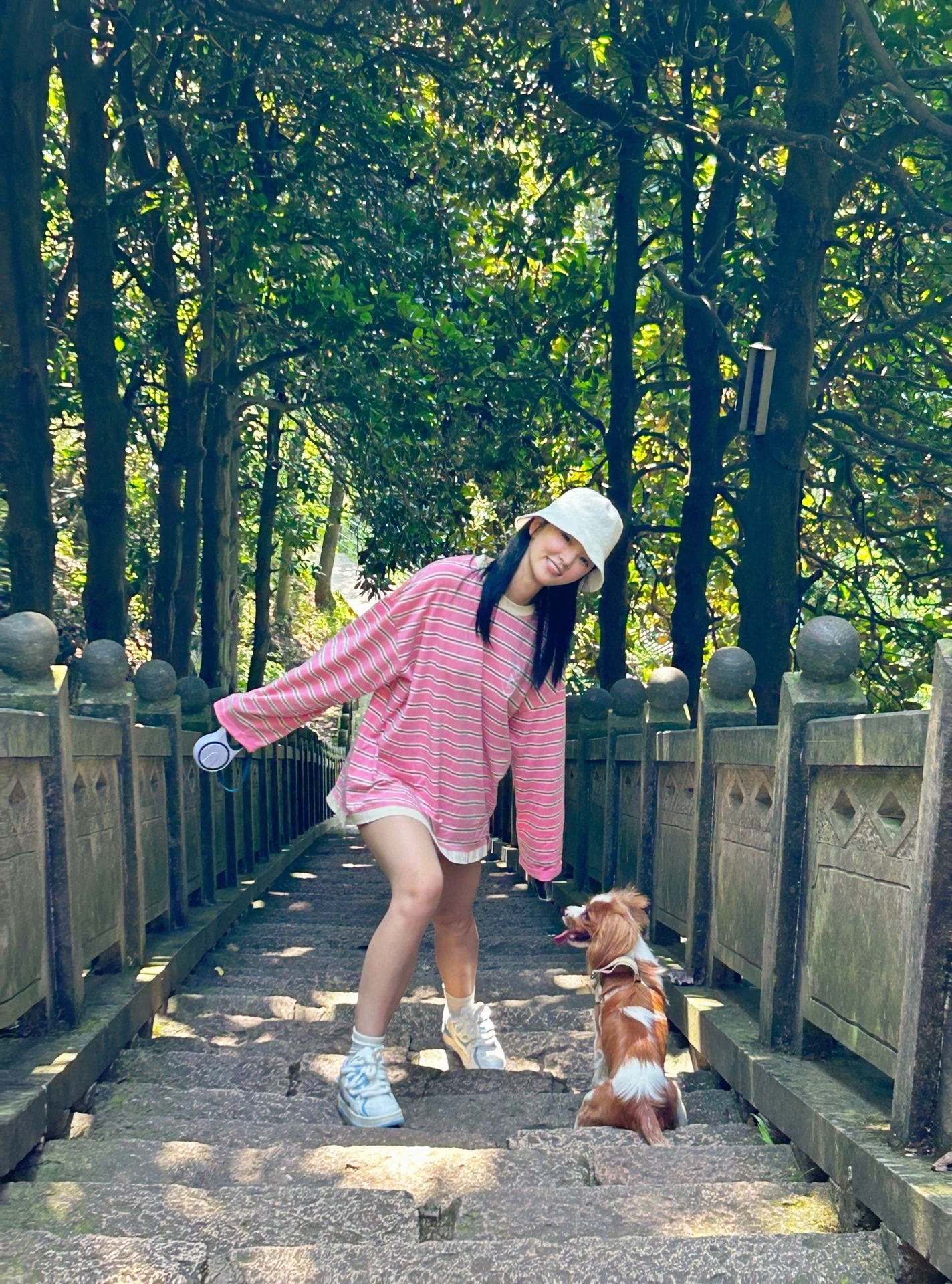 一些刷子和叉子的日常👧🏻🐕