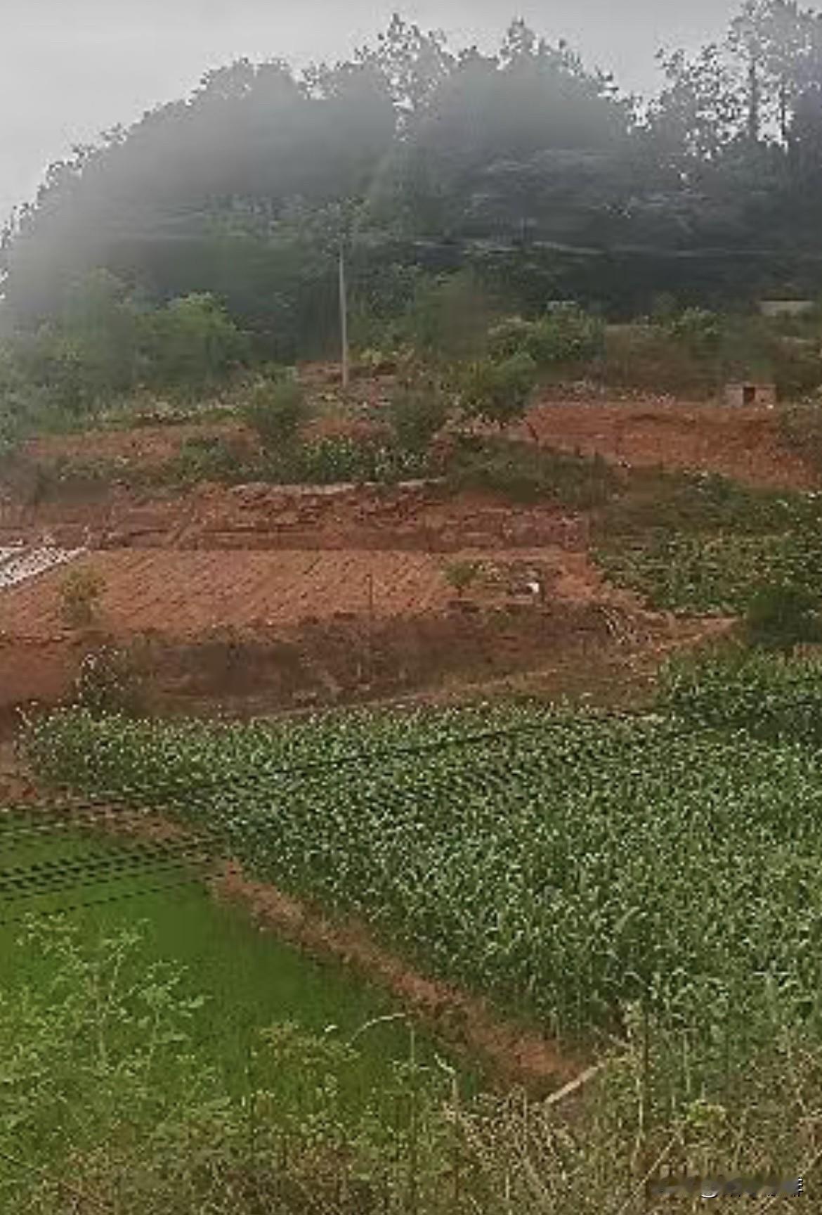 上联：千层高山千层雾
  下联：万丈深谷万丈泉