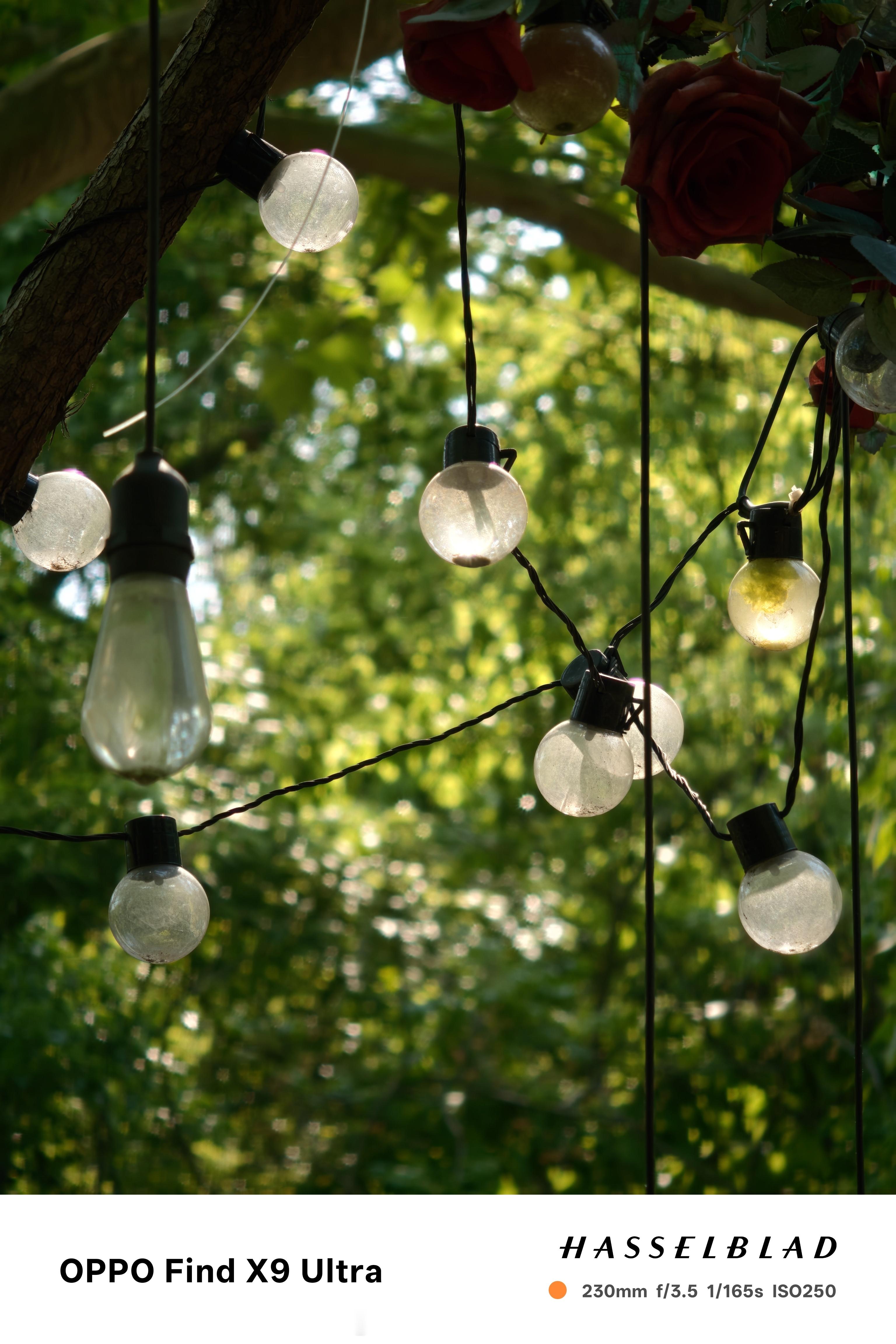 哈苏大师！3X长焦微距还不错