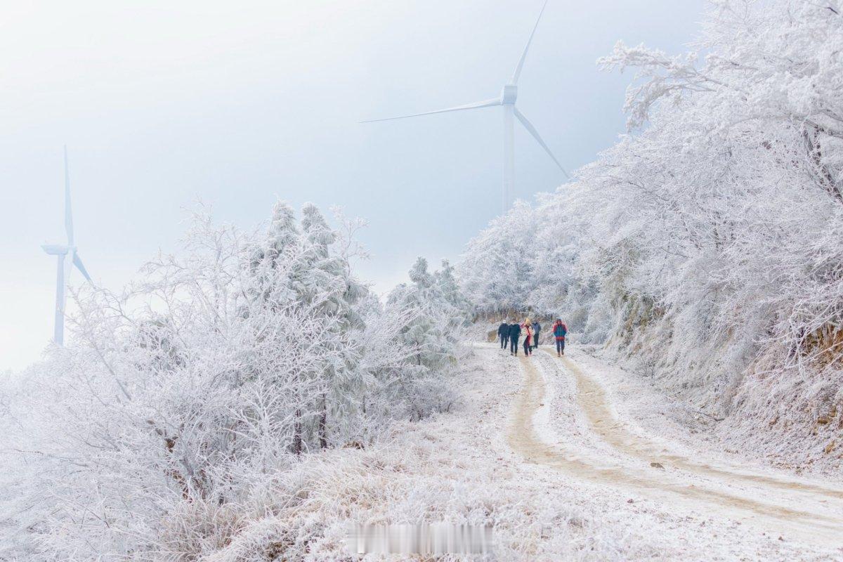 宁波绝美雾凇景观宛如童话世界 1月21日，受持续低温影响，象山县西周镇东搬山、蒙