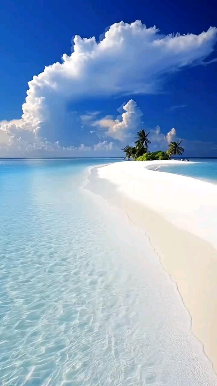 今年春天最想实现的心愿一切烦恼烟消云散！