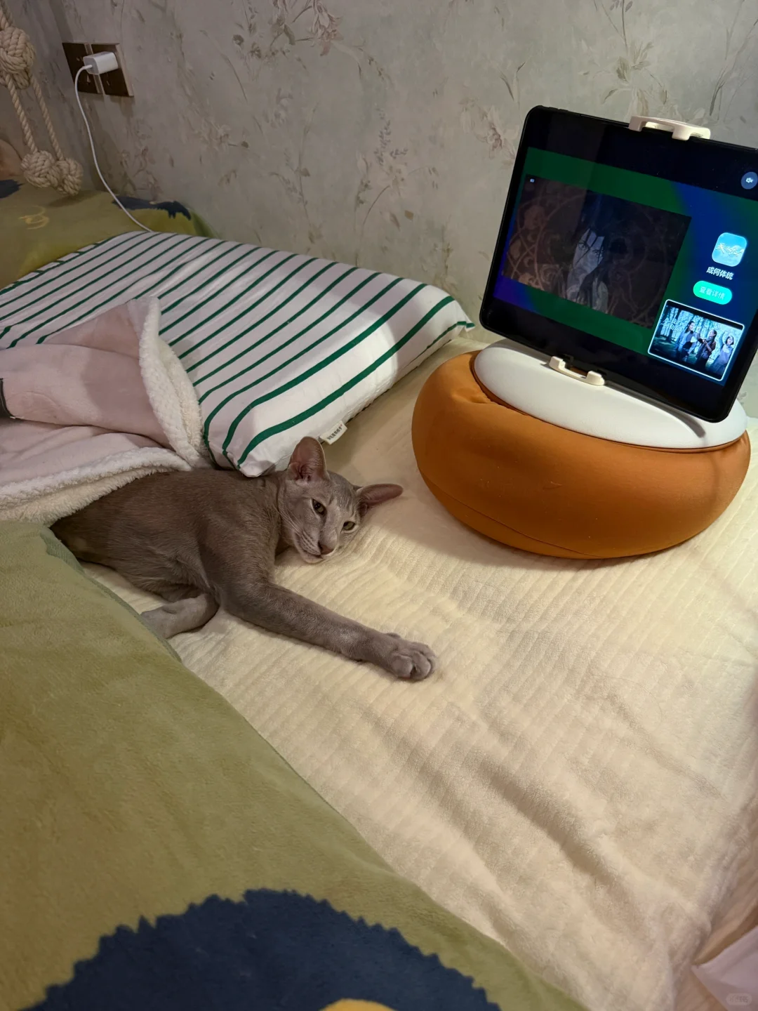 来呀～一起刷剧呀～