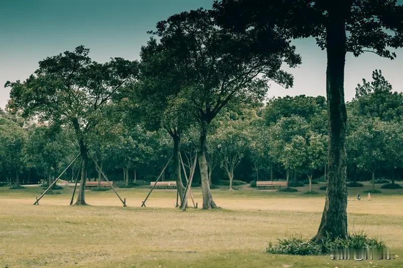 去公园走一圈，风就把心事吹散了

人一不顺，最容易干的事就是把自己关在房间里，翻