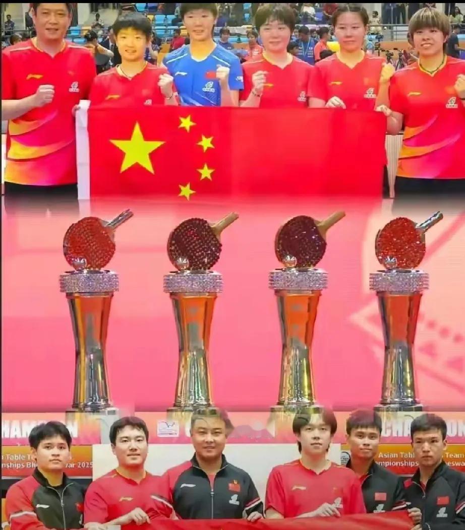 国乒去印度比赛，简直是“渡劫”之旅！场馆又热又潮，水发黄浑浊，青蛙乱蹦，屋顶还漏