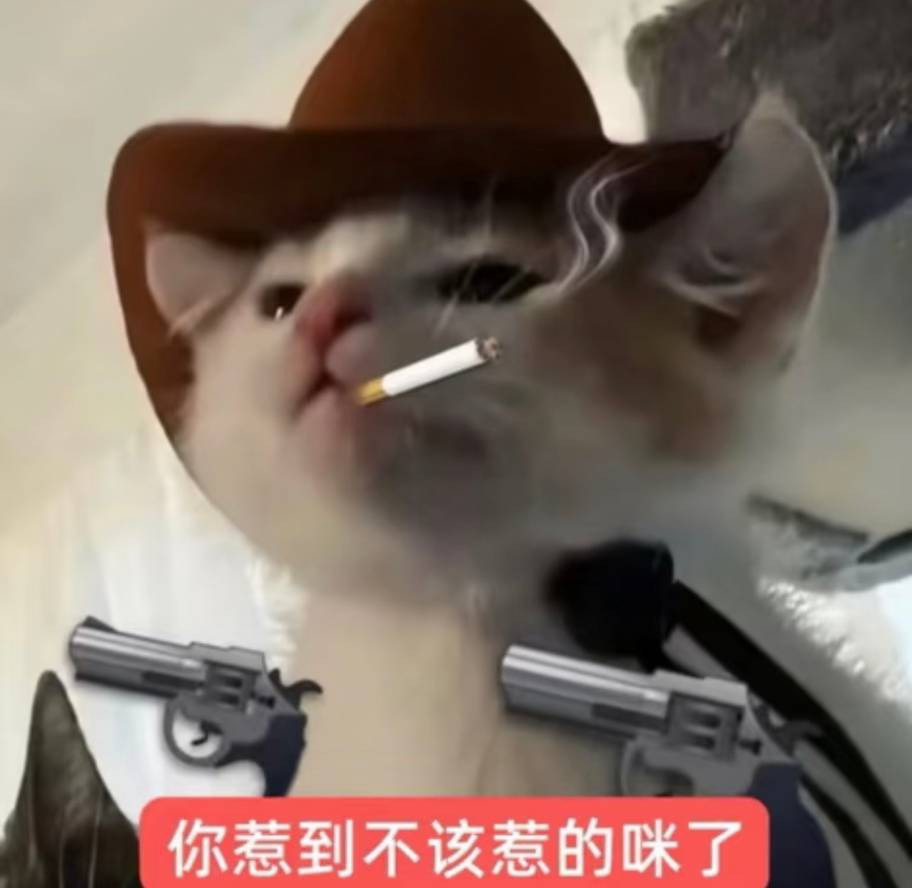 文字讨好症我完全生气就把嗯嗯改成嗯