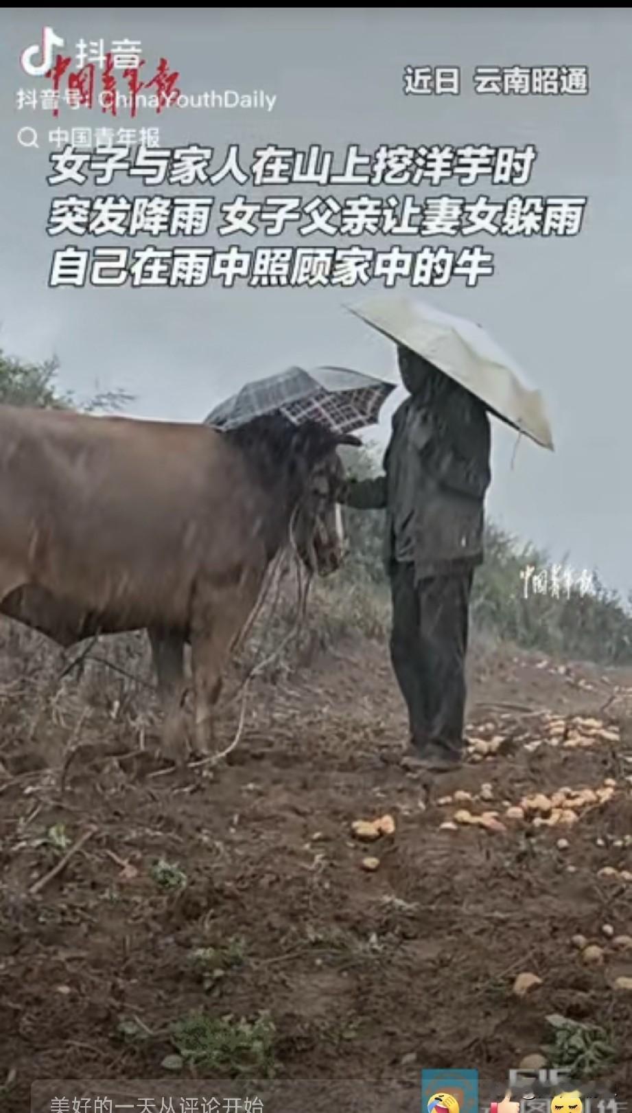云南，女孩与父母在山上挖洋芋时，突然下大雨，父亲让母女二人去躲雨，自己却在雨中打