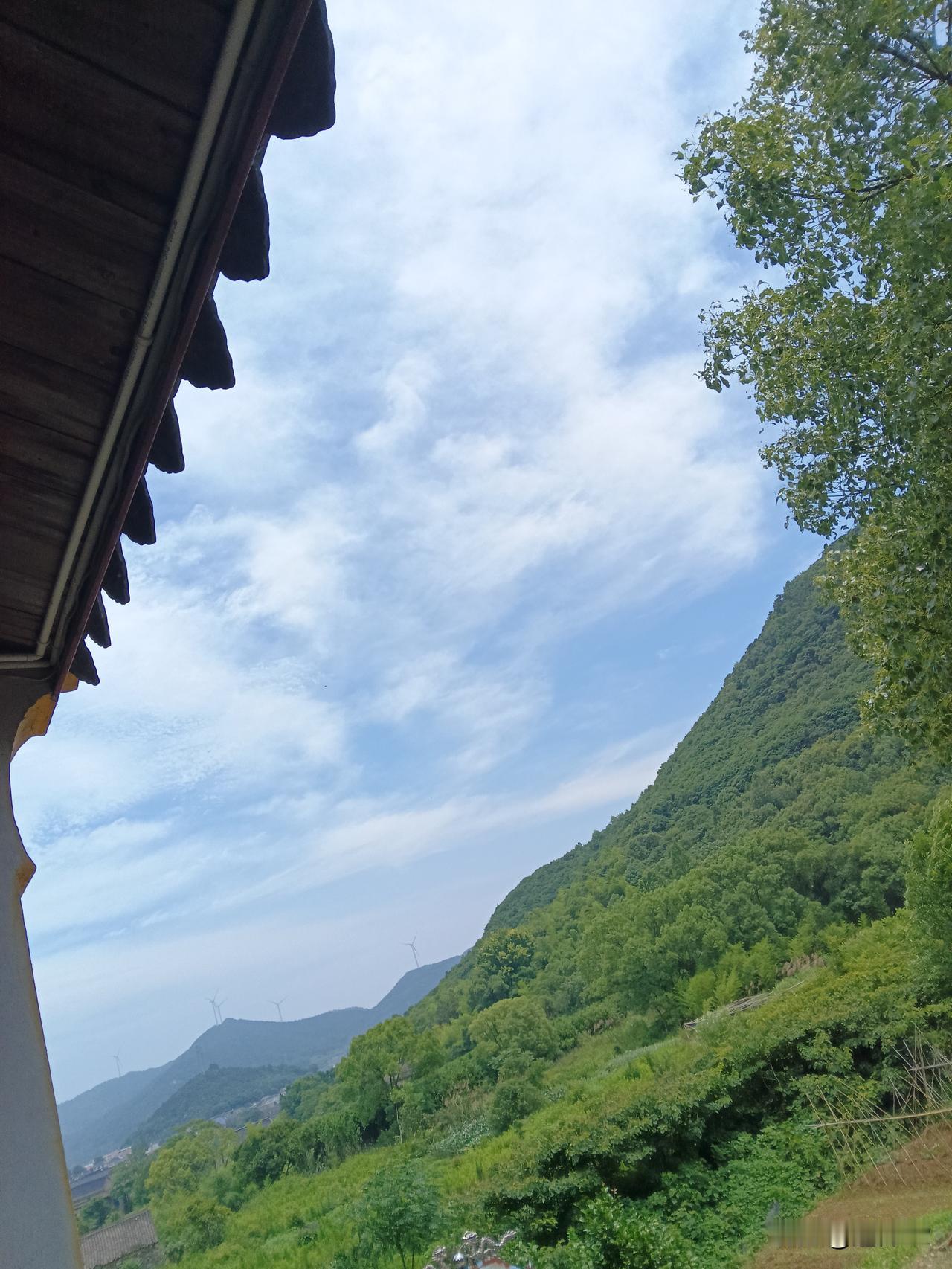 今天，想给大家分析一下那些因为内讧失去了前进机会的球队。这里面首当其冲的是突尼斯
