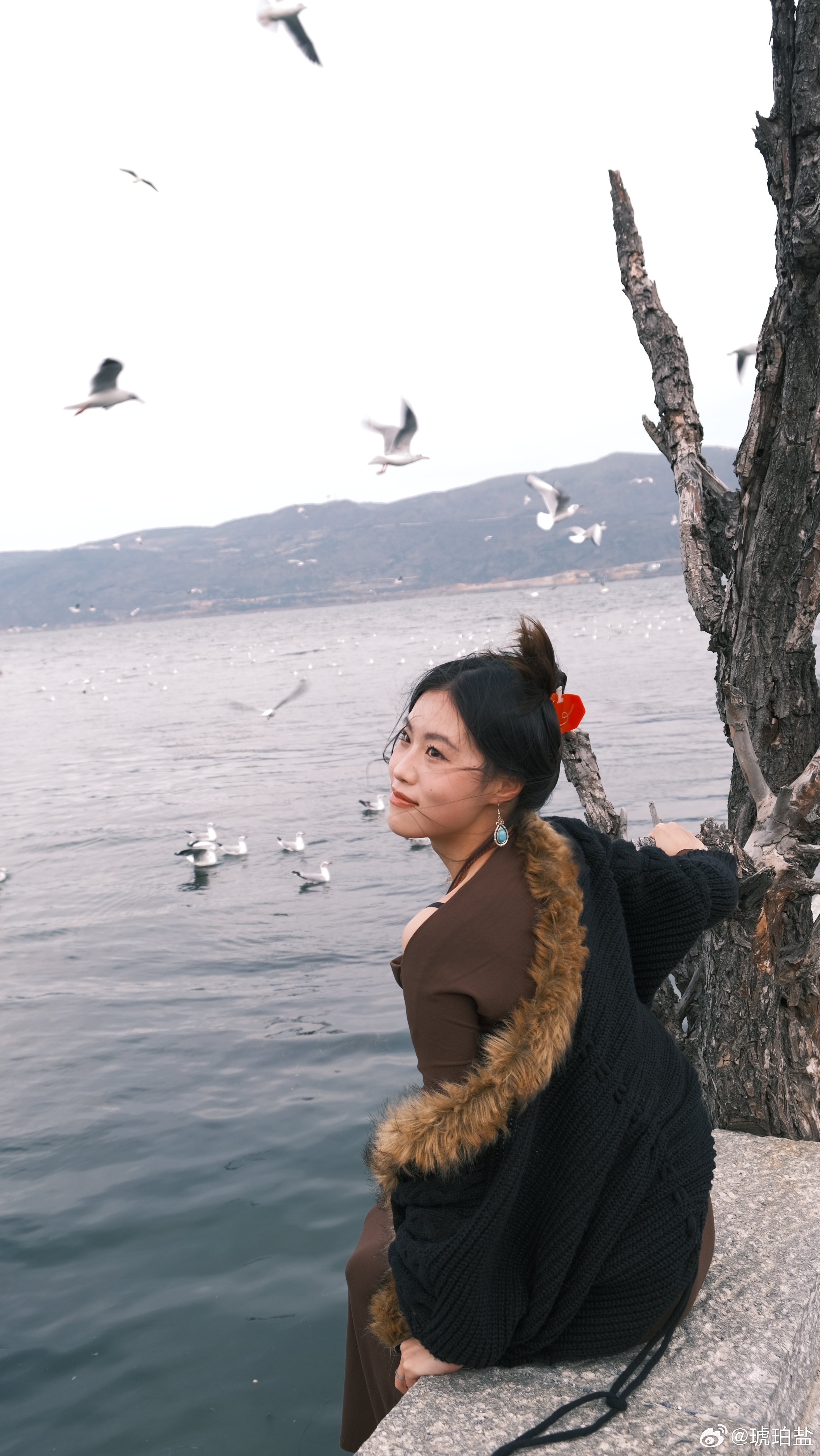 大理福尼亚 ​​​