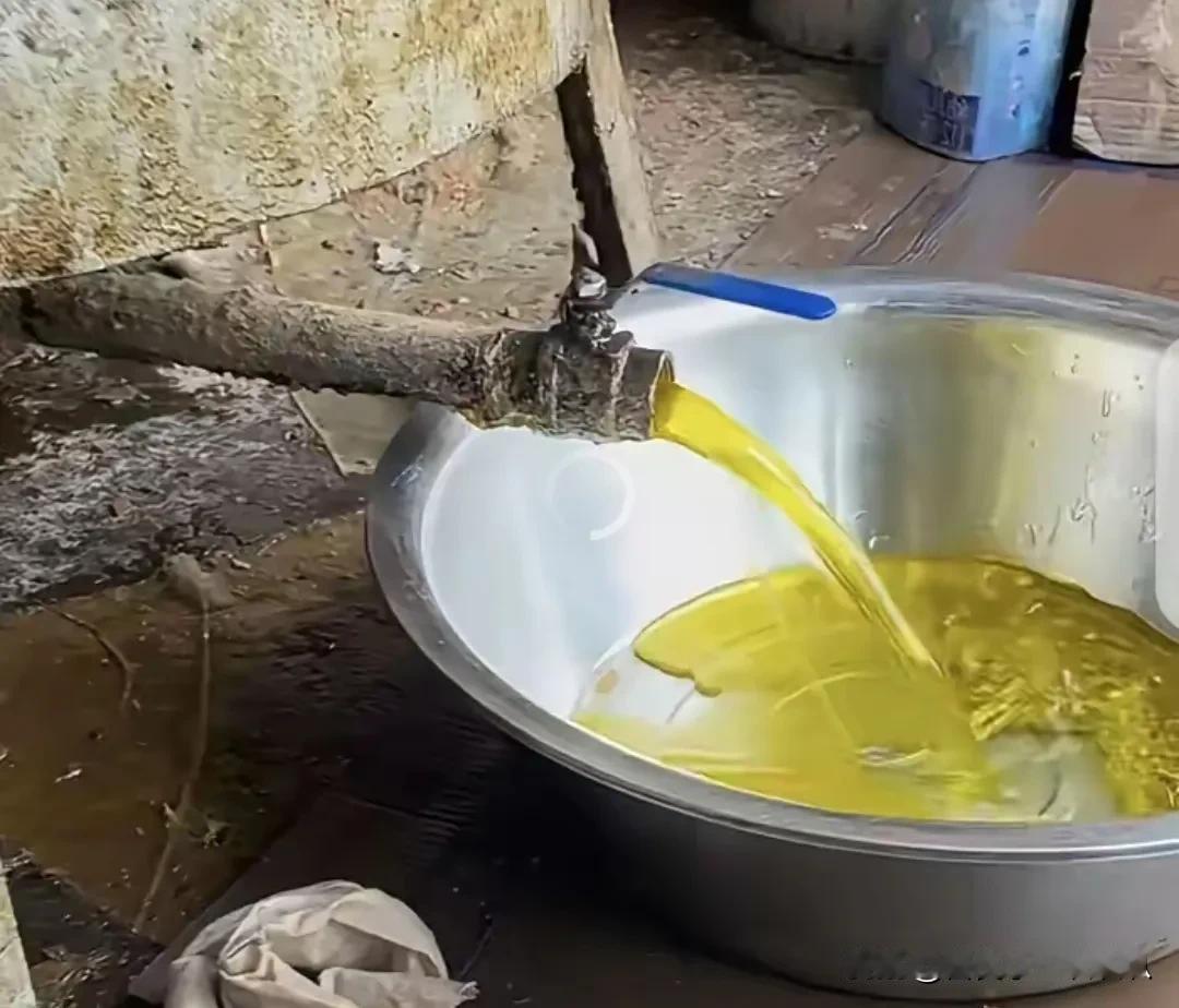 家用榨油机真的安全吗？

家用榨油机看似是个好主意，但它真的能解决用油安全问题吗