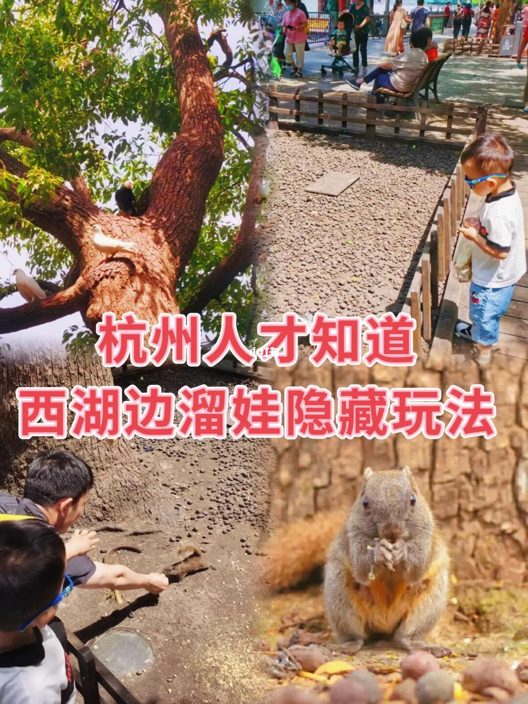 杭州溜娃/来西湖别错过的隐藏玩法，值得N刷