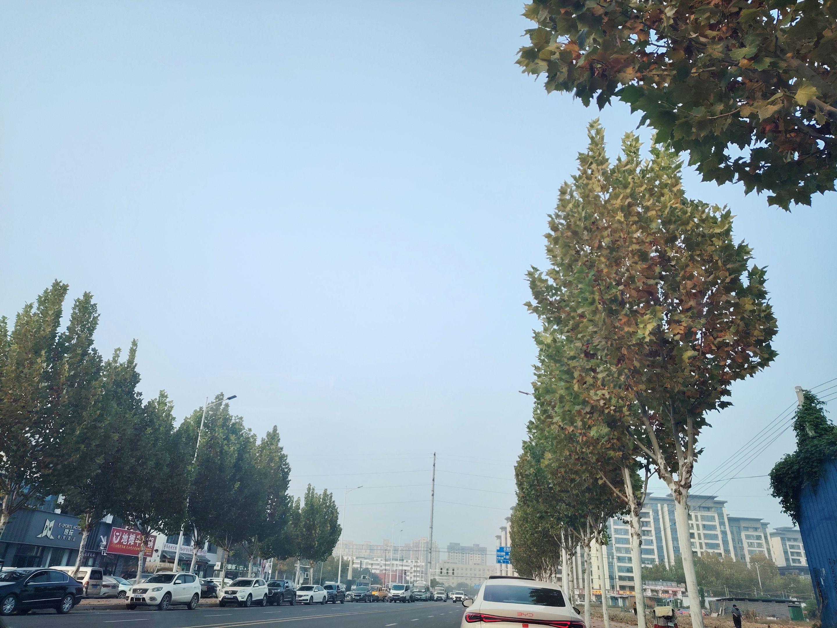 愿许秋风知我意，散我心中意难平，秋风如何知我意，散我心中意难平！