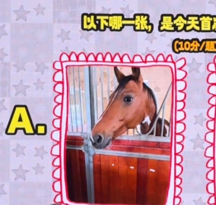 ？不是 