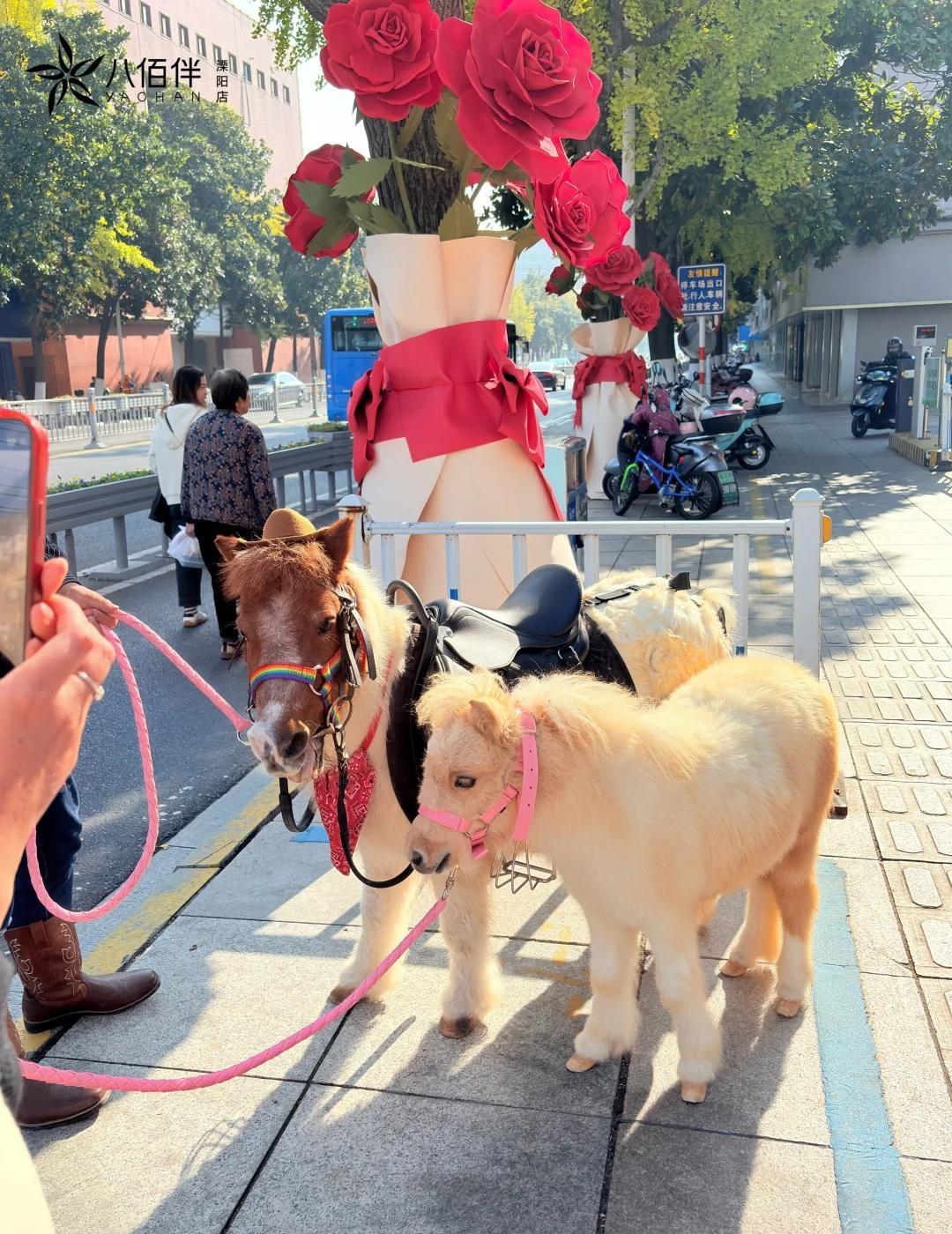 什么溧阳八佰伴可以免费骑马啦
溧阳八佰伴 小马