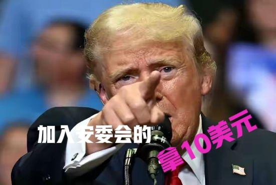 特朗普牵头成立的“国家安全委员会”（和平委员会），绝非为了维护全球安全，而是彻头