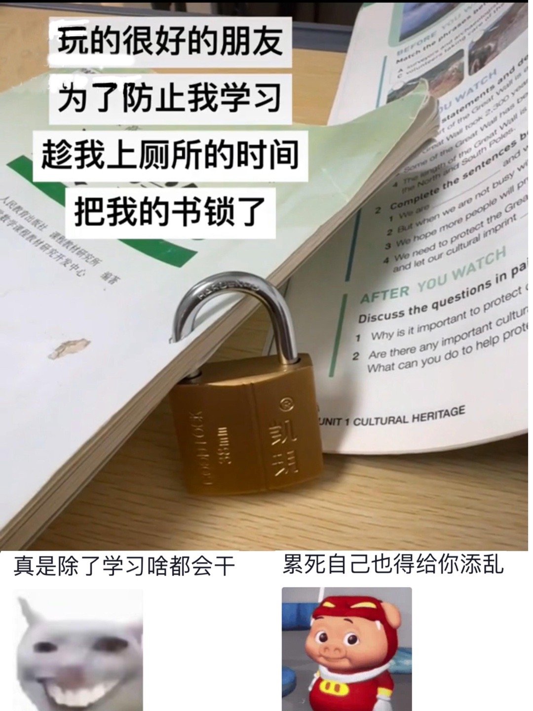 《为了防止我学习》 