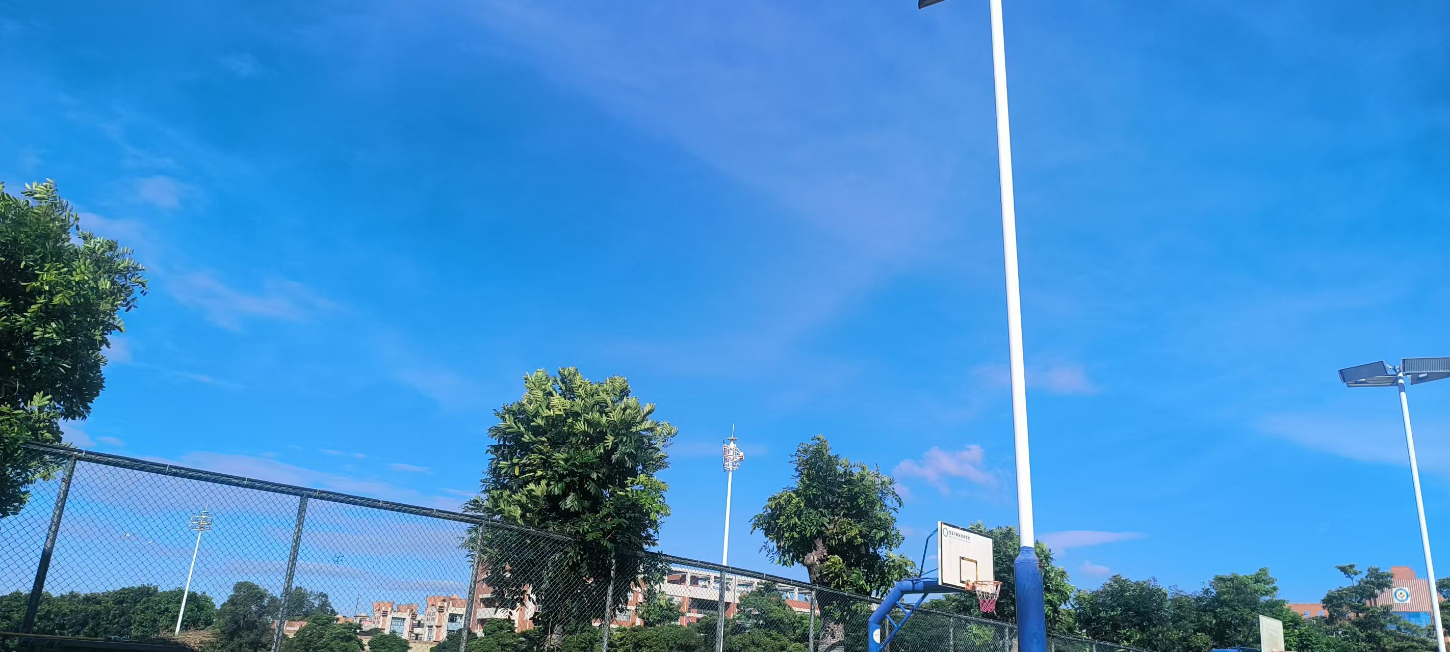 你好同学 ​​​
