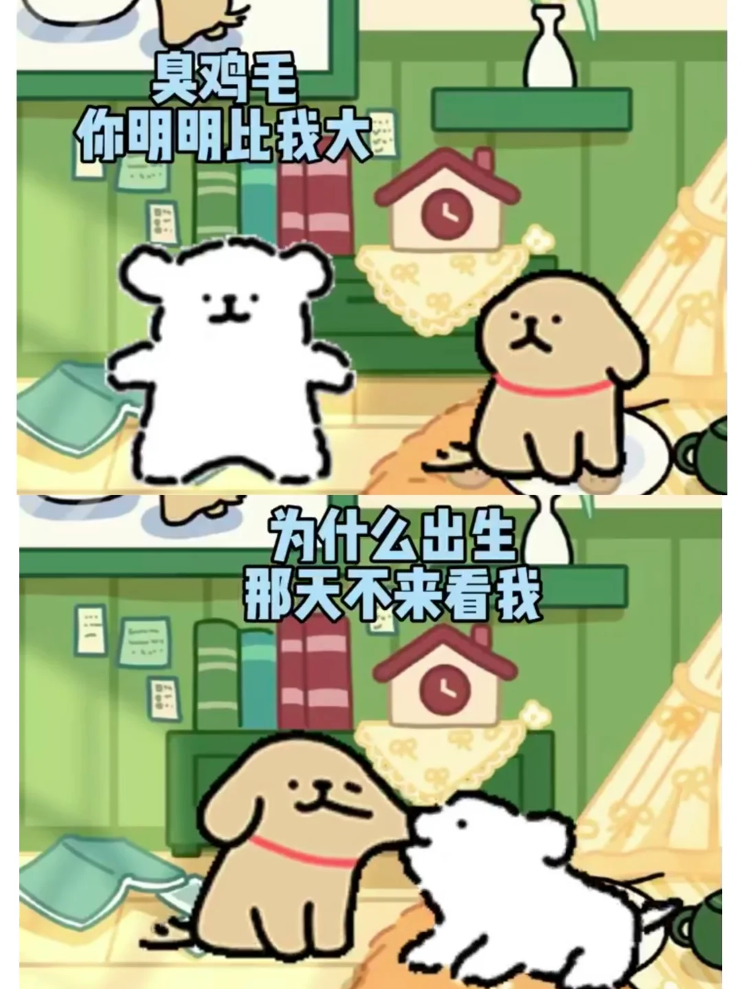 小白：你比我大 小鸡毛：你比我小