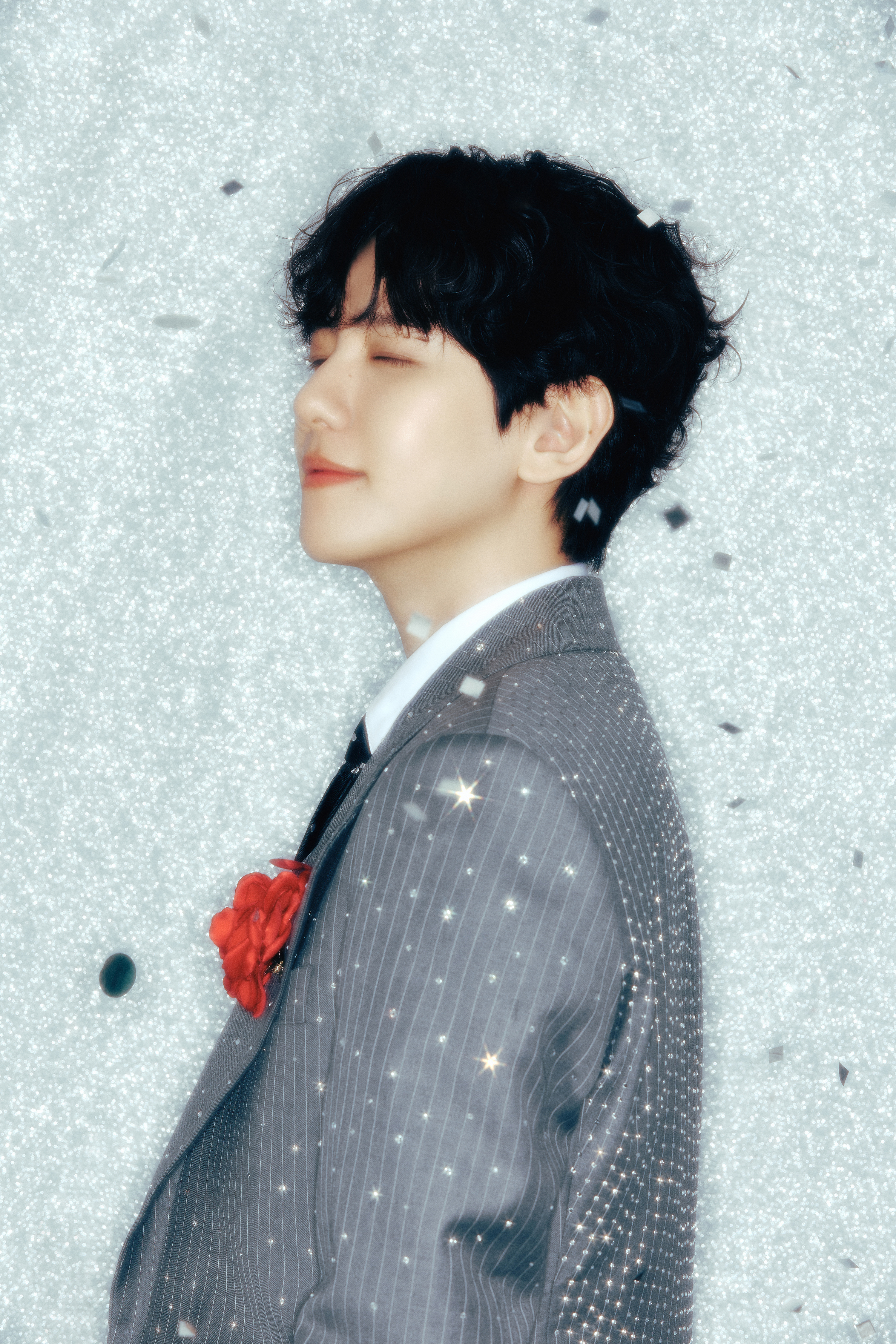 -[ BAEKHYUN ]2024 伯贤圣诞粉丝见面会⟡ Concept Pho