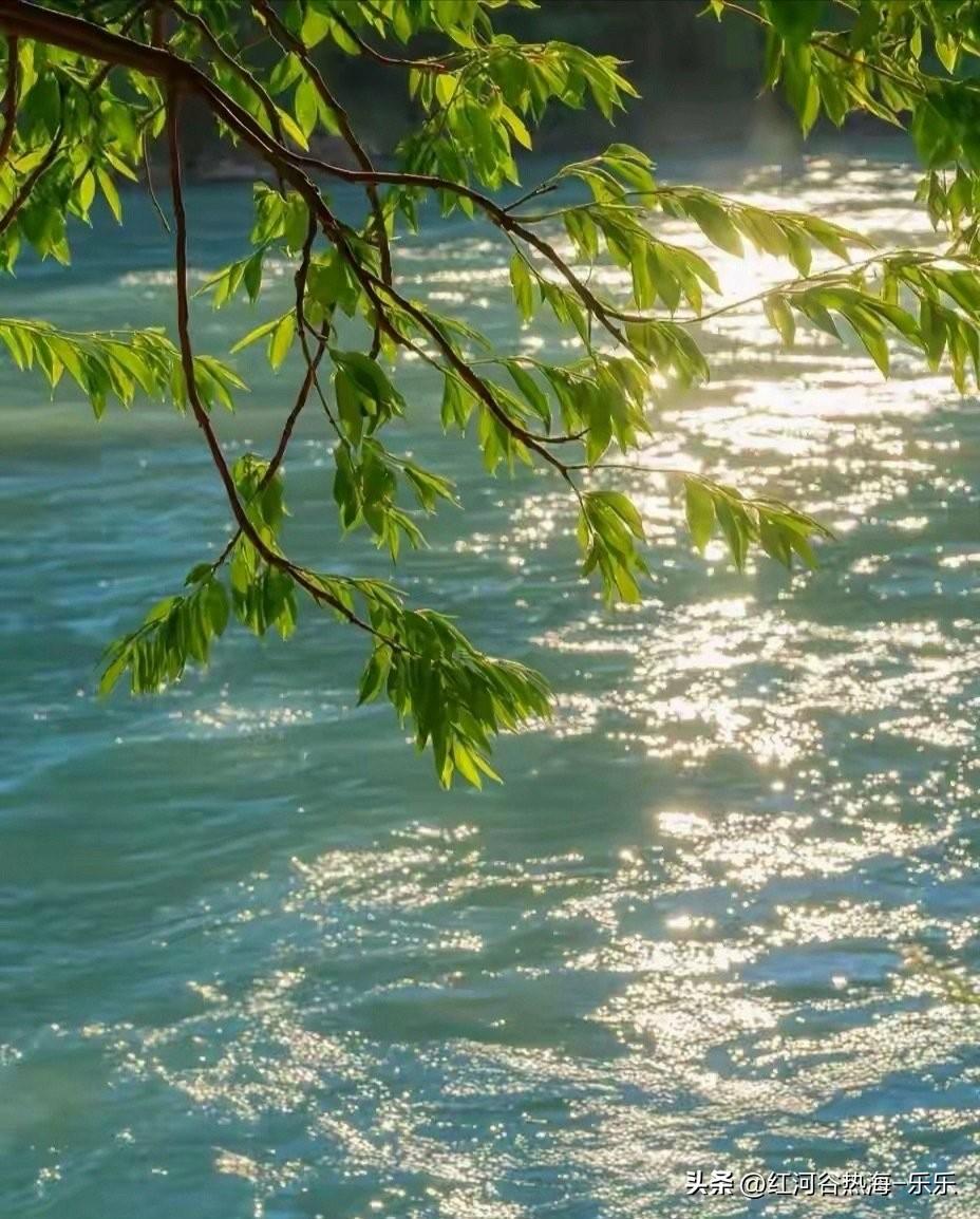 有钱的丁克和没钱的丁克是两个世界的。
一个远房亲戚，他就是丁克老人，现在90岁左