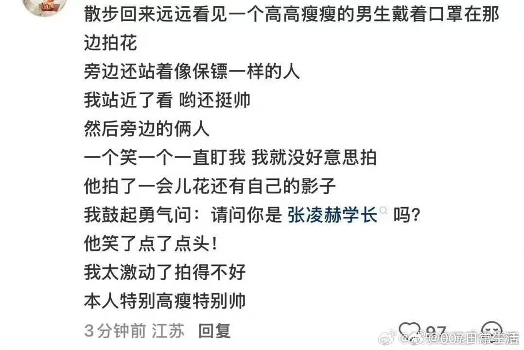 南师大偶遇张凌赫拍花  求偶遇张凌赫教程 