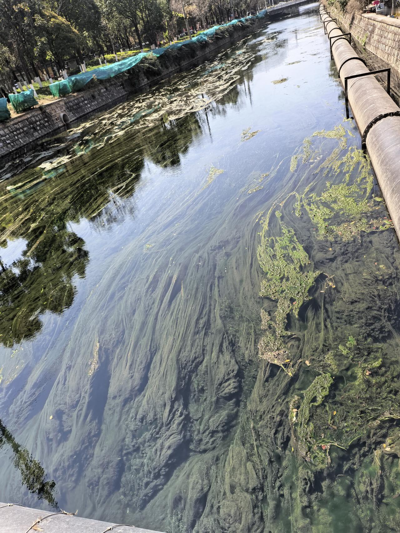 昆明，今年现在已经是达到中度干旱了
看看这个船房河河里面的水都只有这么深点了！以