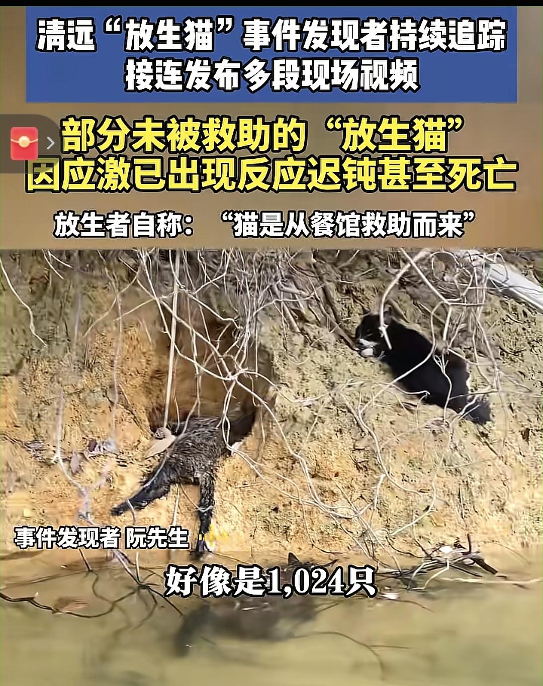 清远“放生猫”事件，猫咪一共1024只
这个数字总感觉有问题，有没有懂道家的或者