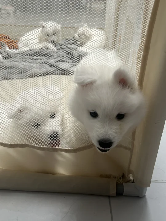 我很想你