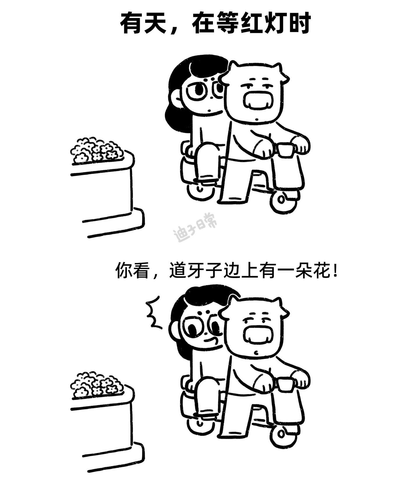 愿我们都，有生命力的活着。