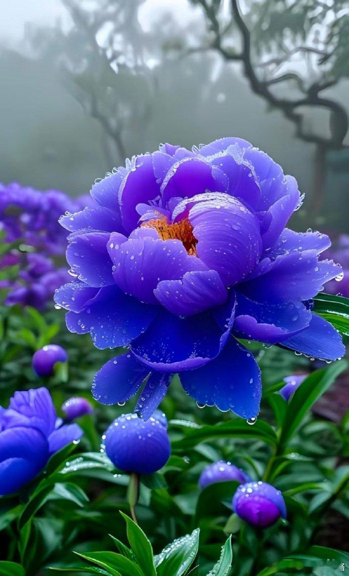 与花为伴，让生活充满了诗意和浪漫。 
