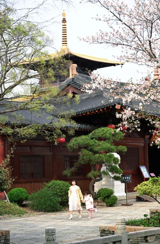 上海宝藏遛娃路线：爬山、挖笋、赏樱、逛博物馆