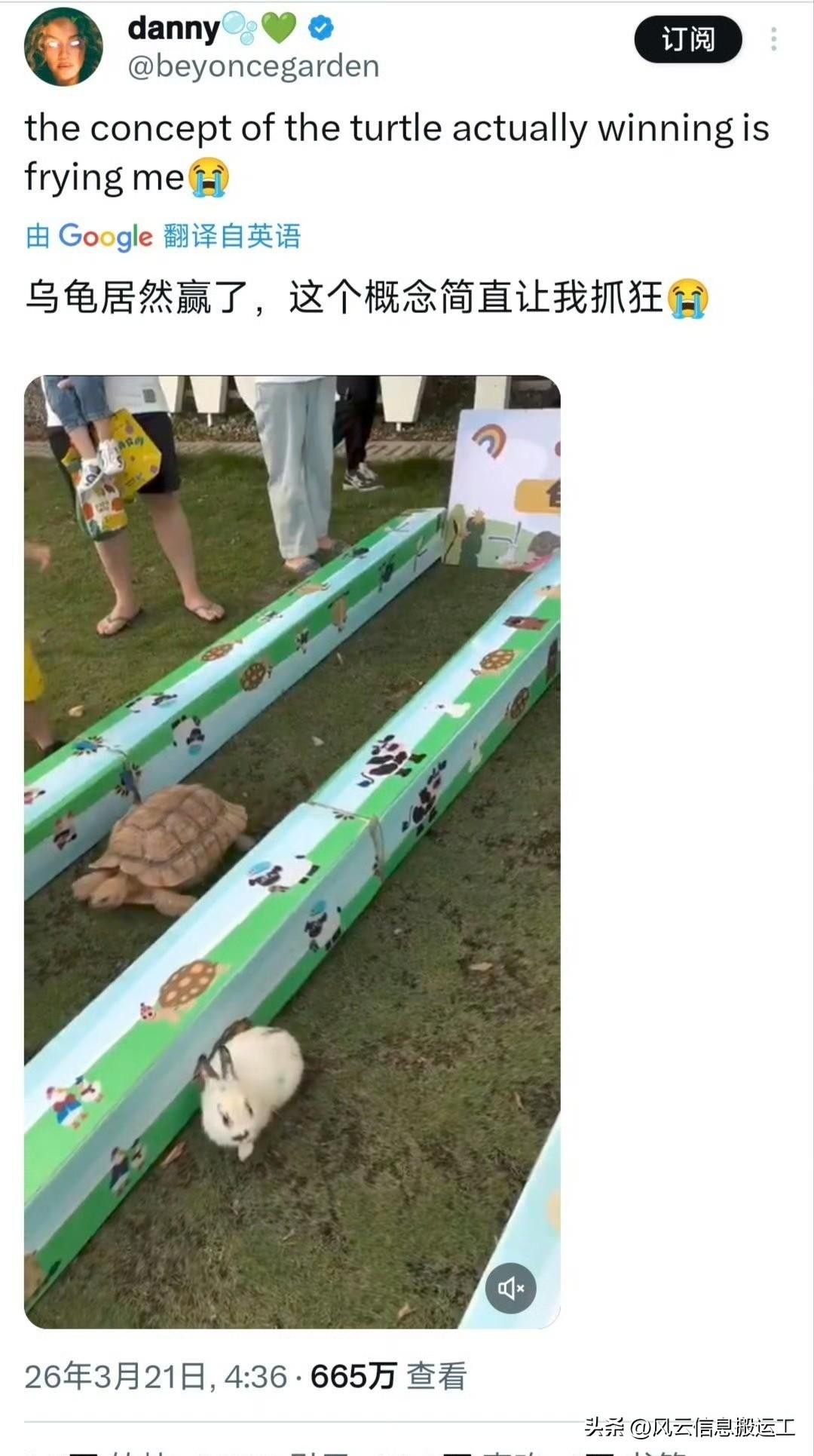 国内某地举办的龟兔赛跑比赛，在在网上引起网友围观，其与寓言一致的比赛结果也引起网