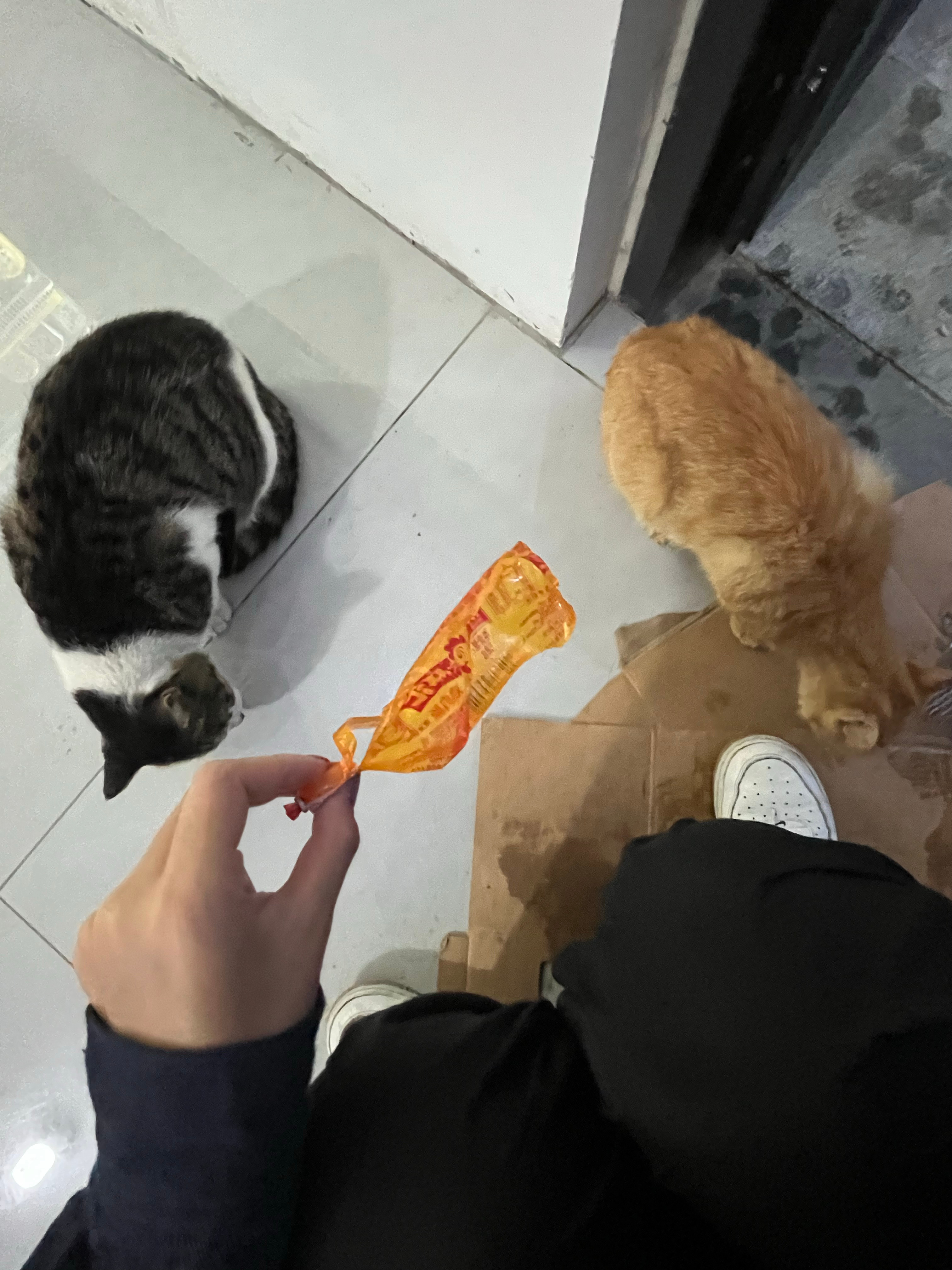 包从越南运回来了。奔着挂件配色去的 小挂件全丢了 越南人 你们怎么办的事情？不过