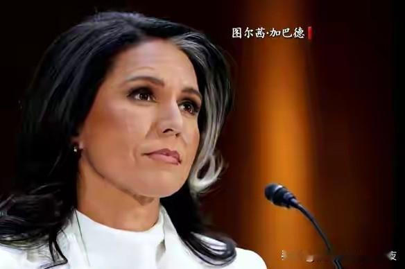 美情报总监公开指责北约欧盟企图将美拖入对俄战争