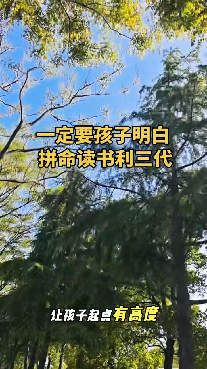 一定要孩子明白拼命读书利三代。
一定要让自己的孩子明白拼命读书其实本质上是在给三
