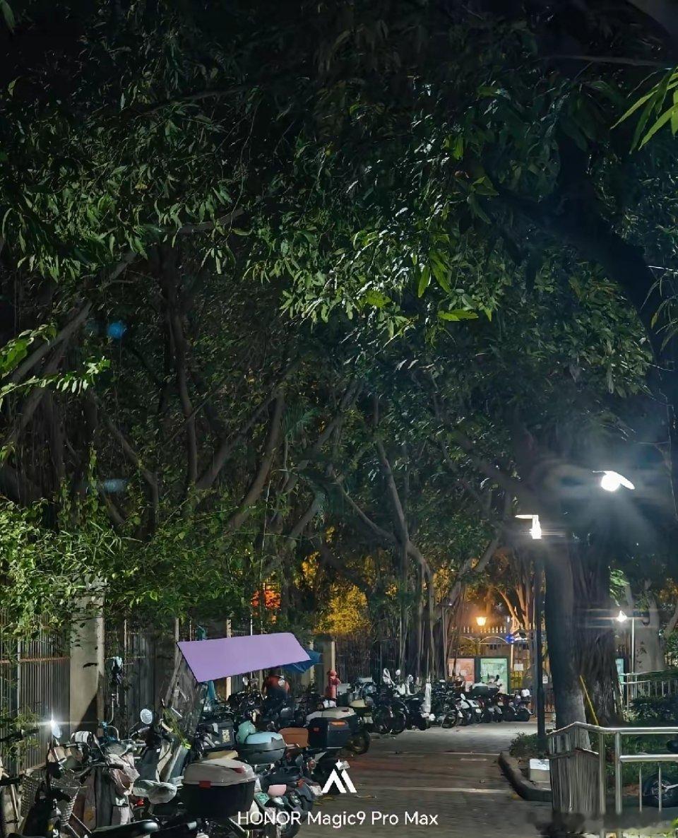 荣耀对比华为这夜景差距还是挺明显的 ​​​