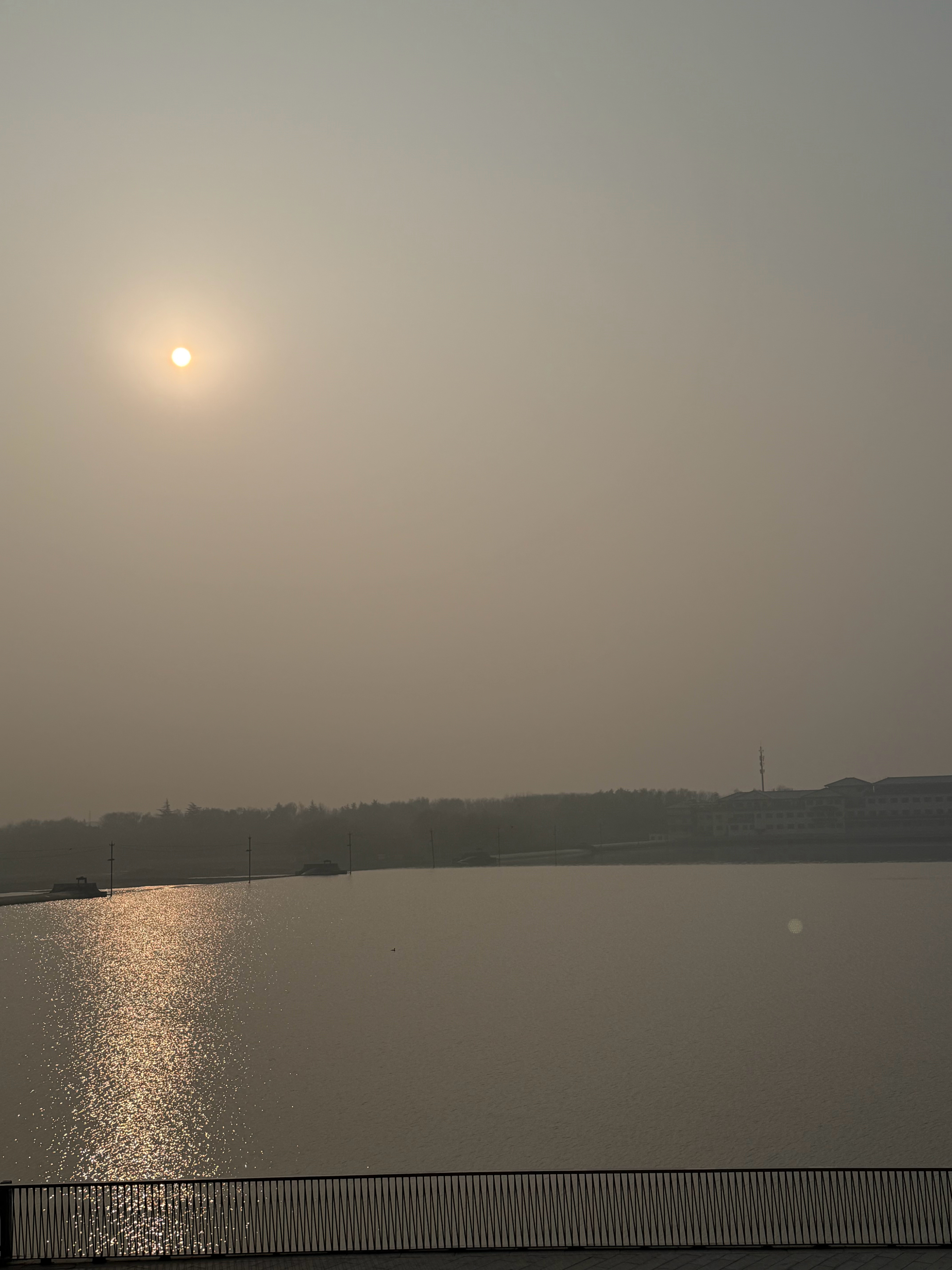 第一批丁克家庭现状曝光有人质疑丁克是逃避责任的懦弱，我却在这份选择里触摸到生命的