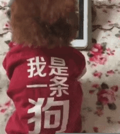 图一：铲屎官这么做到底是出于什么目的啊？有什么特别必要说明的吗？
图二：气质和年