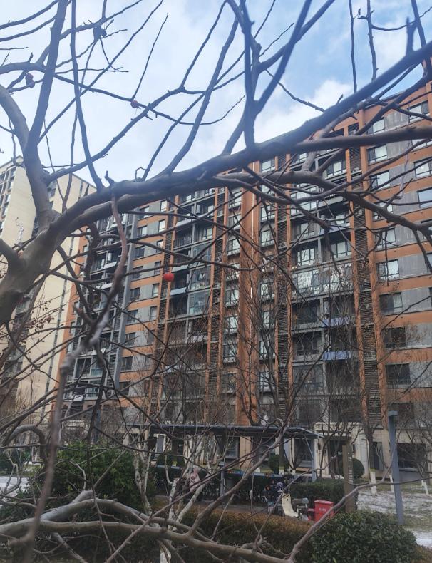 工厂走了之后
烟台这两天最让人心里一沉的消息，不是房价也不是股市，而是一家老牌外