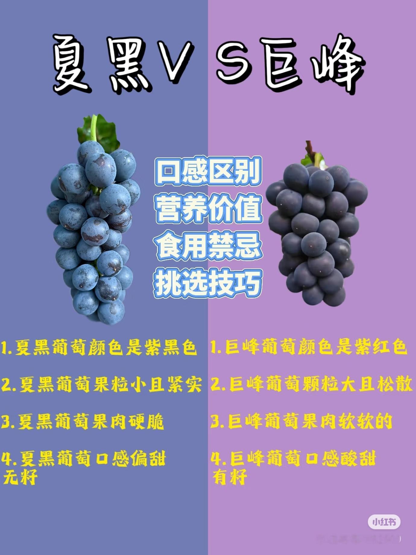 巨峰葡萄 白月光白月光非得是人吗 ​​​