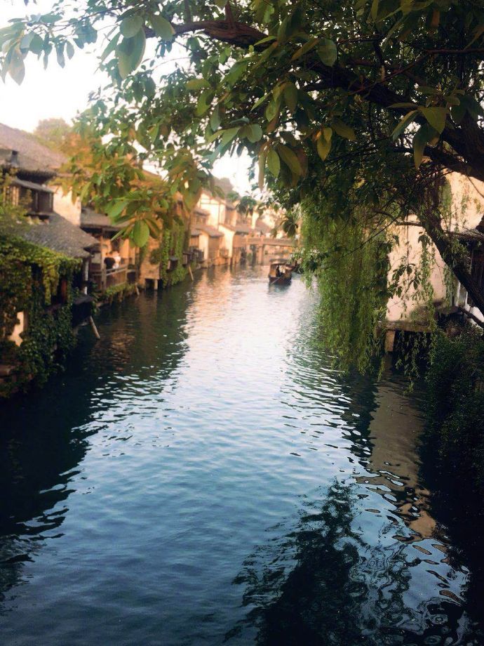 “依稀记得小时候，爸妈总是在八九点钟，电视剧还没看完的时候，就催促我们去准备上床