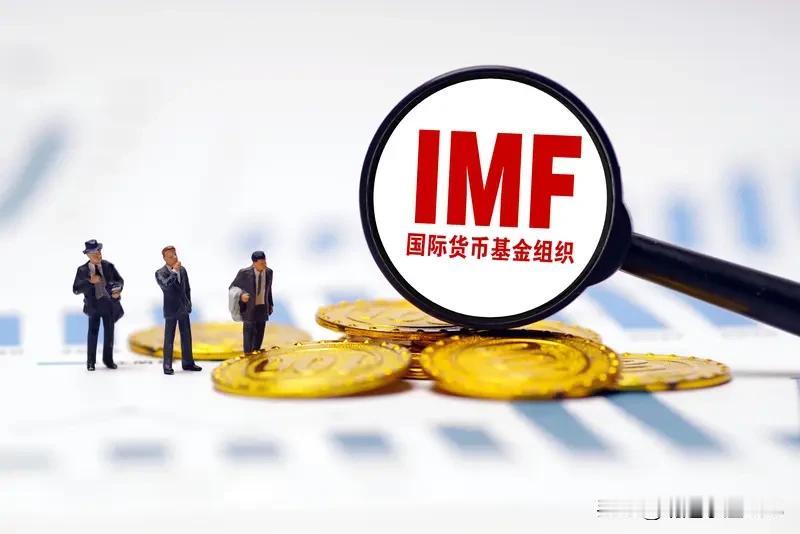 如今，诸多国际组织的关注重点不再囿于单一领域，而是全方位聚焦制度建设与民生领域。