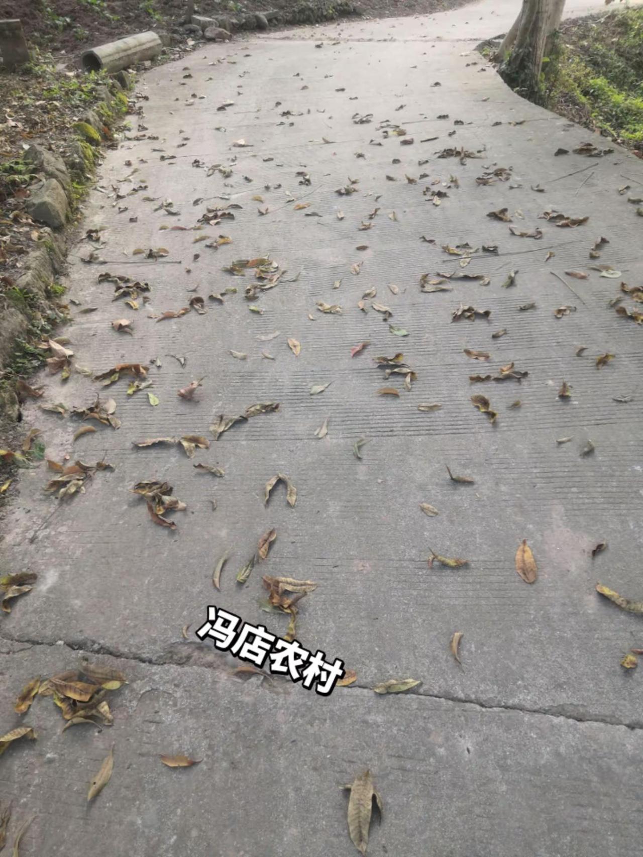 冬日的农村广告落叶，把大地上变得如此的美丽记录我的生活