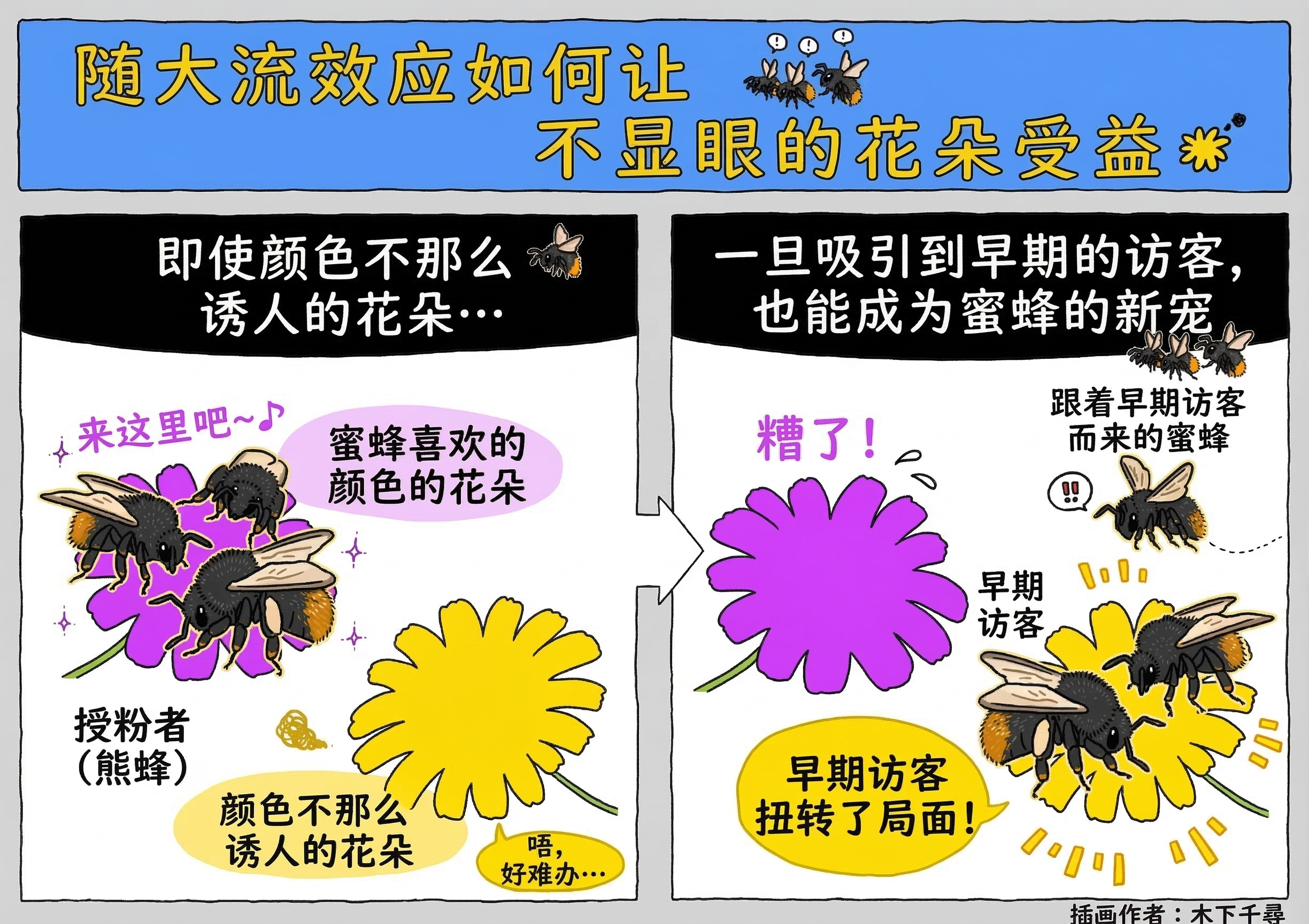 你在一条陌生的美食街上，左边是装修精美的餐厅，右边是看着普普通通的小馆子，但小馆